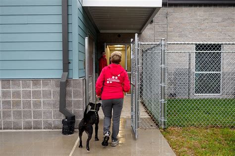 Humane society chattanooga - May 10, 2017 · Humane Educational Society. May 10, 2017 ·. "The Chattanooga Humane Society is a “low-kill” shelter, in the cold parlance of the animal control world, these dogs and cats were all spayed or neutered, fed, kept clean and as happy as an animal can be in a cage. Petey, the current resident of stall No. 32, is a happy …